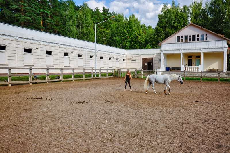 Конно-спортивные комплексы и конюшни